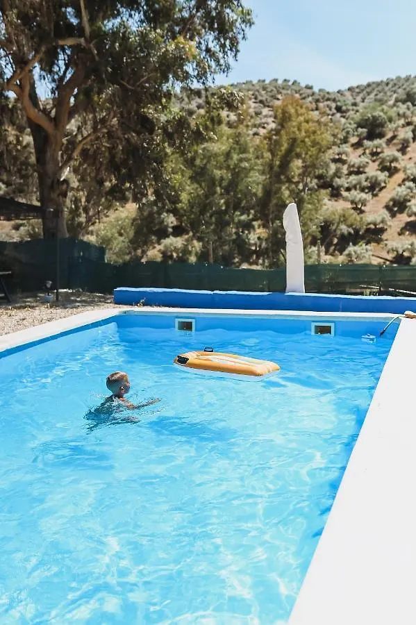 Experience Alpacas In Andalucia Apartment Cordoba Spain