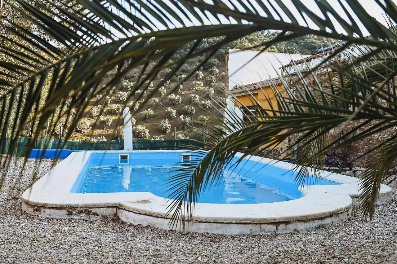 Experience Alpacas In Andalucia Apartment Cordoba
