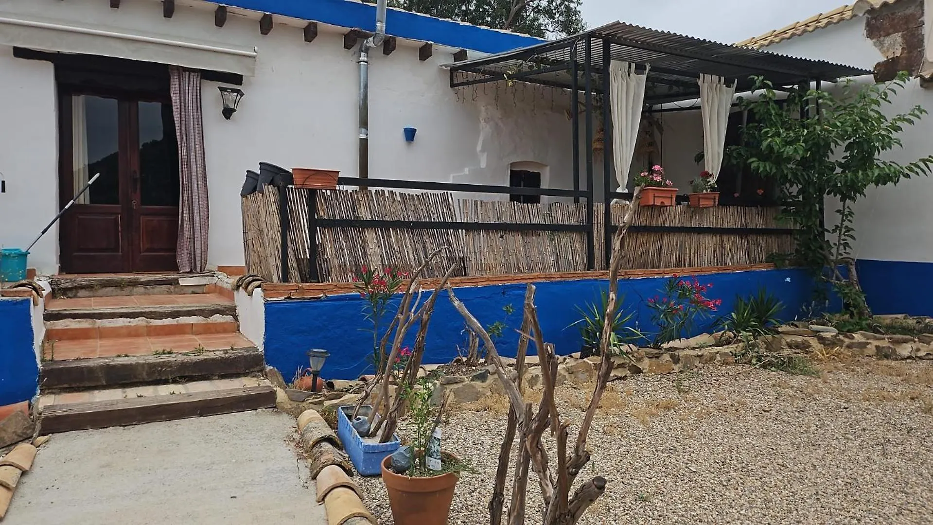 Experience Alpacas In Andalucia Apartment Cordoba