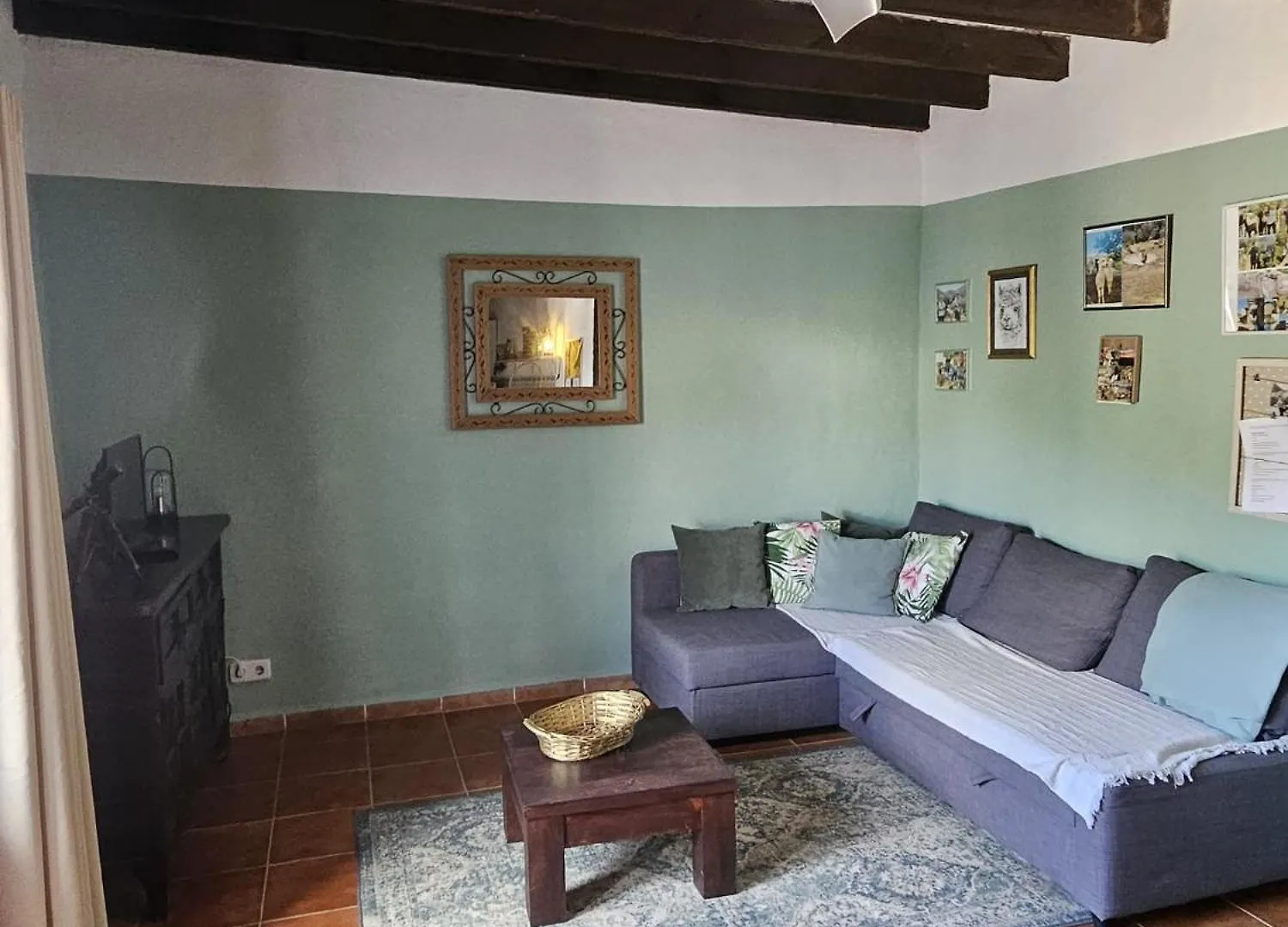 Experience Alpacas In Andalucia Apartment Cordoba
