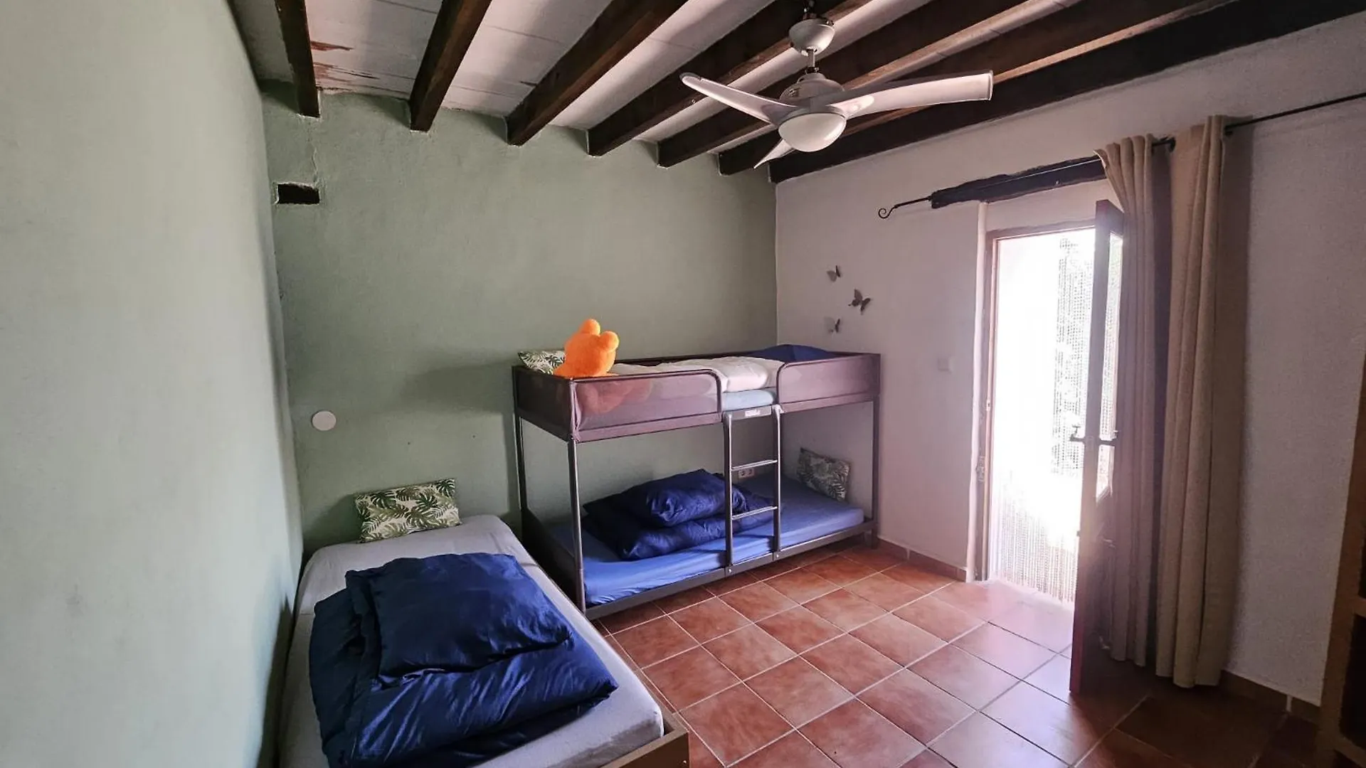Experience Alpacas In Andalucia Apartment Cordoba