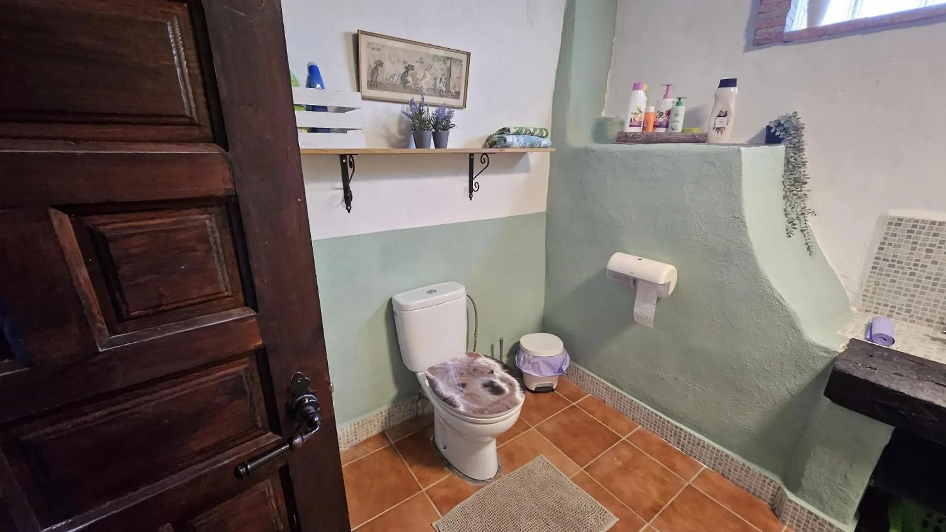 Experience Alpacas In Andalucia Apartment Cordoba 0*,